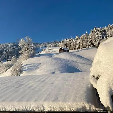 Scheftenau Im Toggenburg *