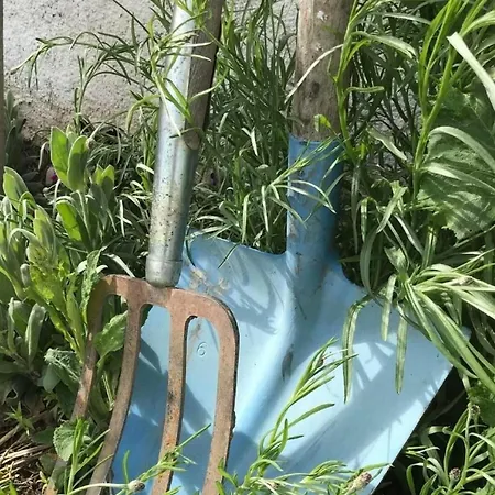 Scheftenau Im Toggenburg