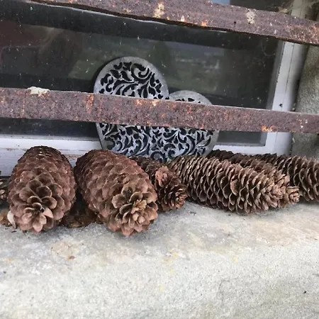 Scheftenau Im Toggenburg