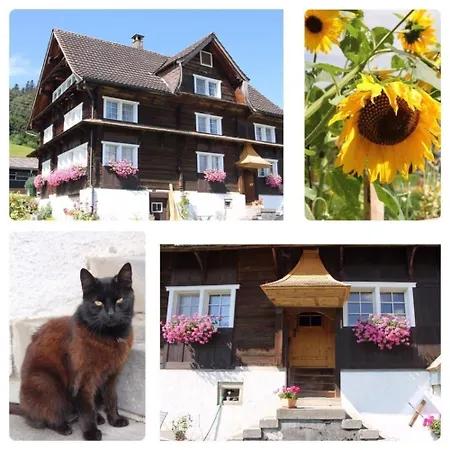 Scheftenau Im Toggenburg Apartment